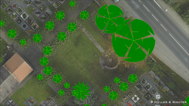 Baumstandort Kronenbreite