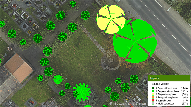 Baumstandort Kronenbreite Vitalität
